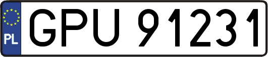 GPU91231