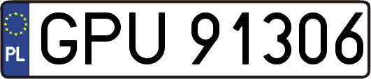 GPU91306