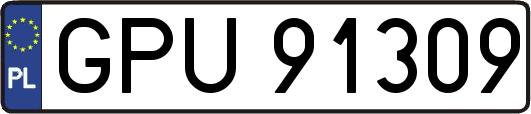 GPU91309