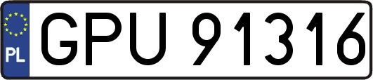 GPU91316