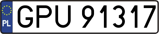 GPU91317