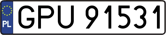 GPU91531