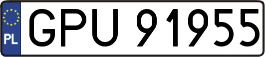 GPU91955