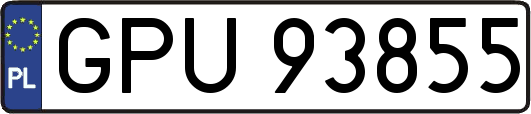 GPU93855