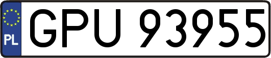 GPU93955