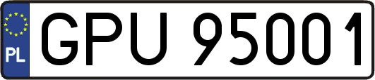 GPU95001
