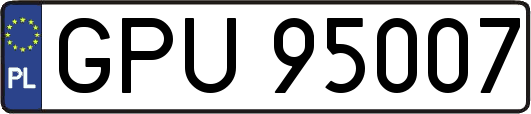 GPU95007