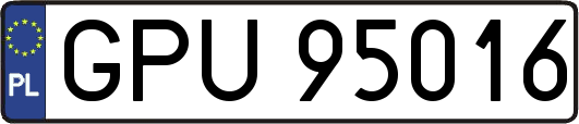 GPU95016