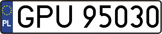 GPU95030