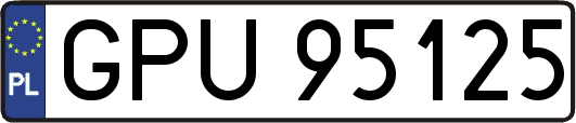 GPU95125