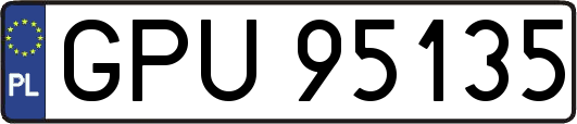 GPU95135