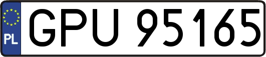 GPU95165
