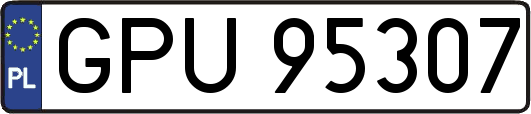 GPU95307