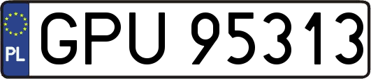 GPU95313