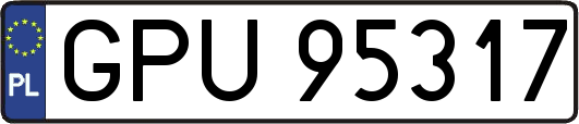 GPU95317