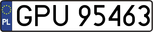 GPU95463