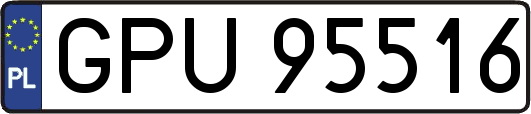GPU95516