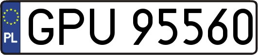 GPU95560