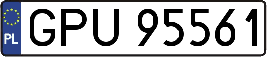 GPU95561