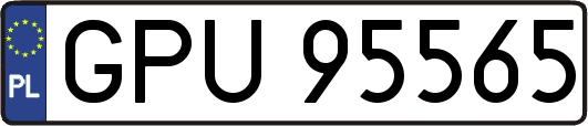 GPU95565