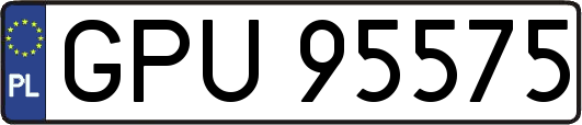GPU95575