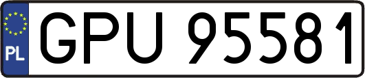 GPU95581