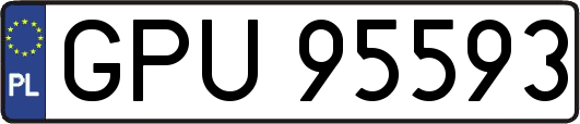 GPU95593