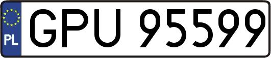GPU95599