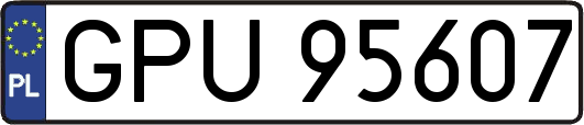 GPU95607