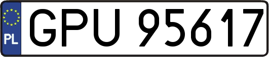 GPU95617