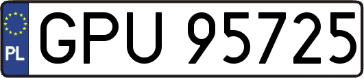 GPU95725