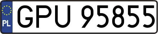 GPU95855