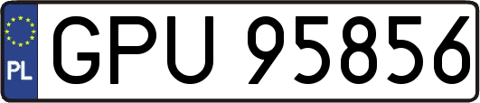 GPU95856
