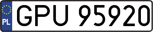 GPU95920