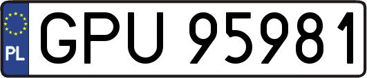 GPU95981