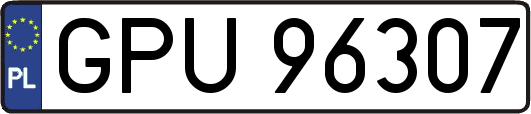 GPU96307