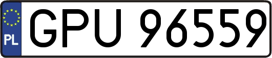 GPU96559