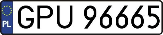 GPU96665