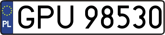 GPU98530