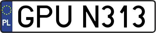 GPUN313