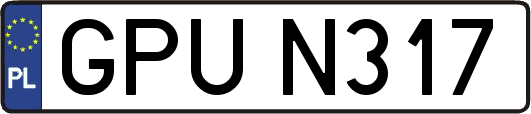 GPUN317