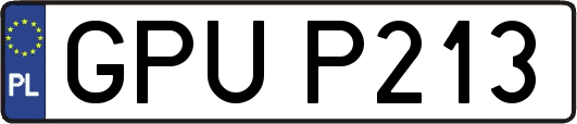 GPUP213