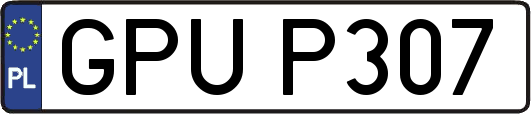 GPUP307