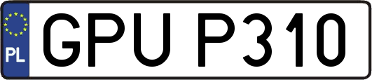 GPUP310