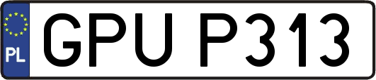 GPUP313
