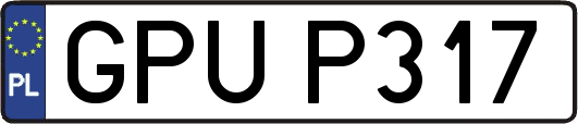 GPUP317