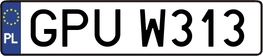 GPUW313