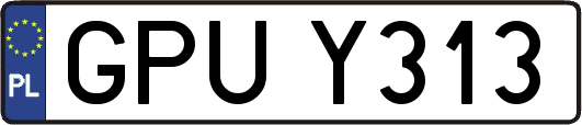 GPUY313
