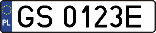 GS0123E