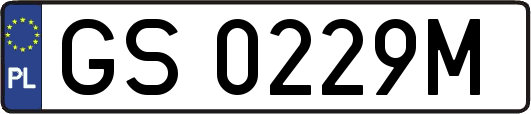 GS0229M